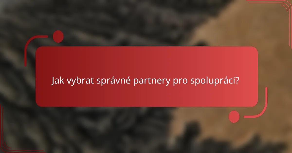 Jak vybrat správné partnery pro spolupráci?
