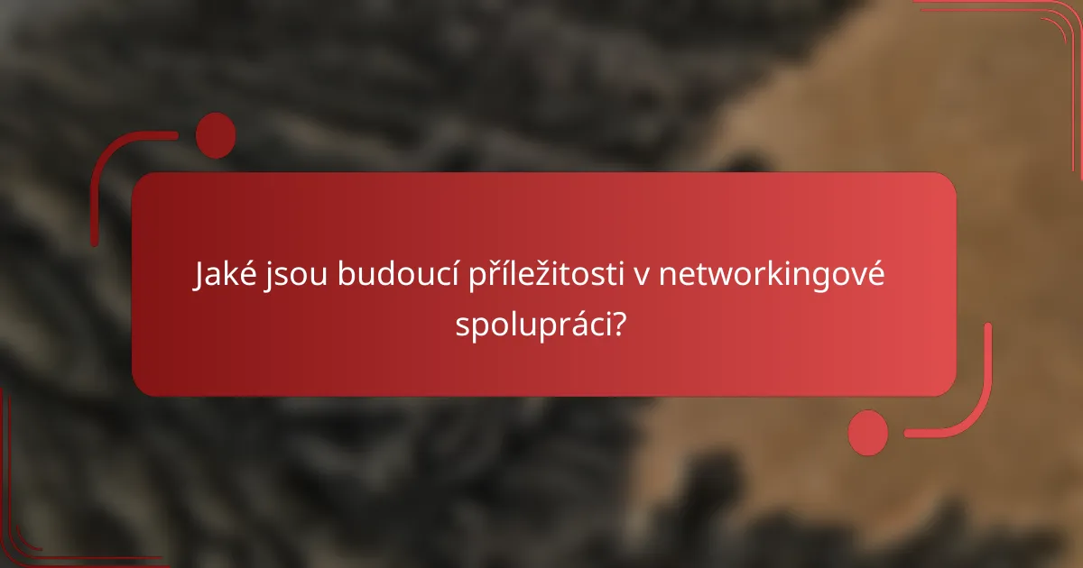 Jaké jsou budoucí příležitosti v networkingové spolupráci?