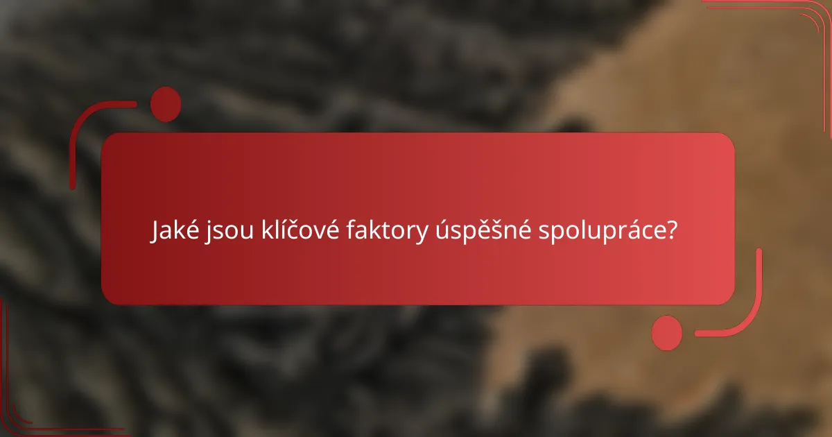 Jaké jsou klíčové faktory úspěšné spolupráce?